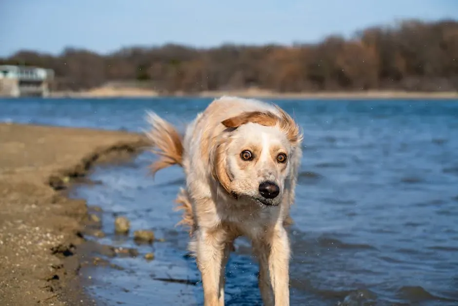 Pacing, Restlessness, and Shaking (Image Credits: Pexels)