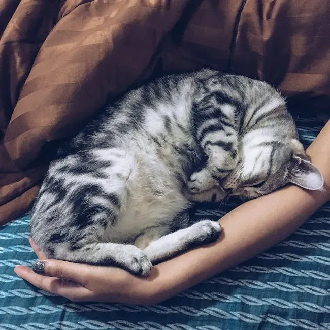 9. They Sleep on You or Right Beside You (Image Credits: Pexels)