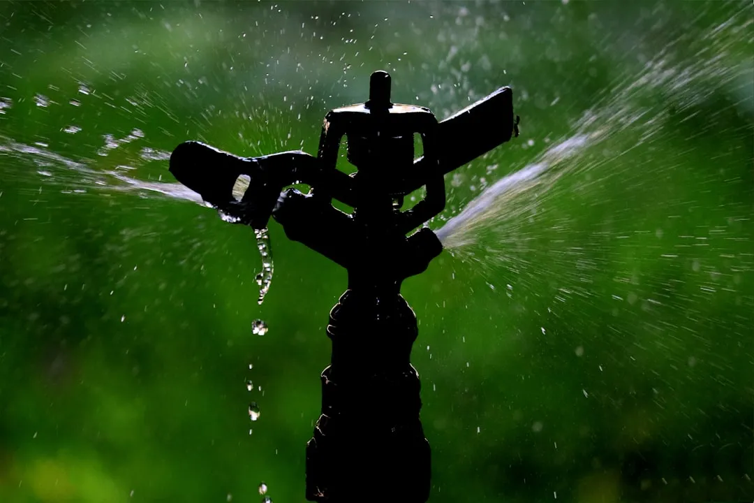 #2 Use Motion Activated Sprinklers (Image Credits: Unsplash)