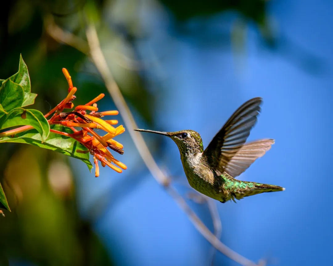 #19 - Singing in Ultrasonic, Oddly Complex Patterns (Image Credits: Unsplash)