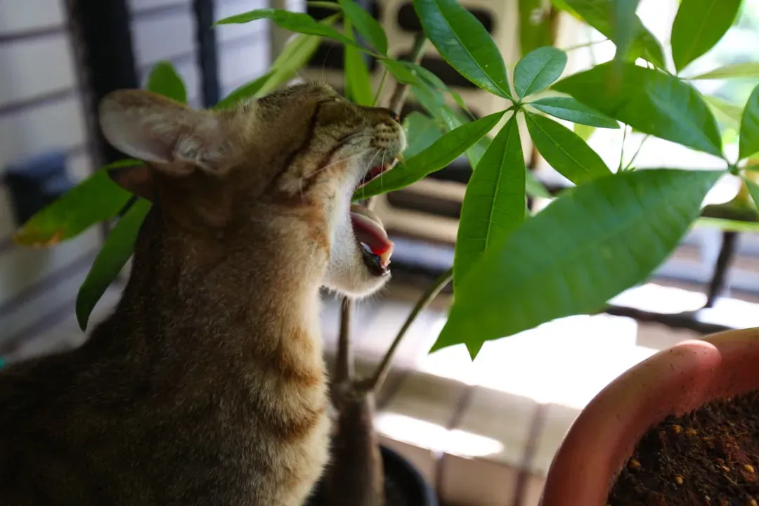 3. Pothos (Devil's Ivy): The Trailing Vine You Need to Rethink (Image Credits: Unsplash)
