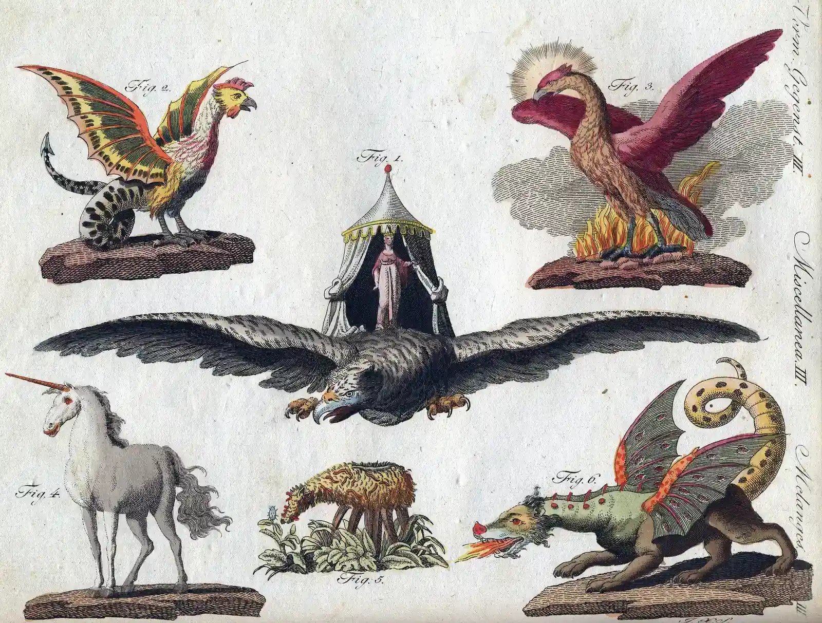 Scorpio (Bertuch, Friedrich Justin (1801)    (in german, french)   Bilderbuch f&uuml;r Kinder, 1, Weimar:  Industrie Comptoir, pp.&nbsp;176, Public domain)