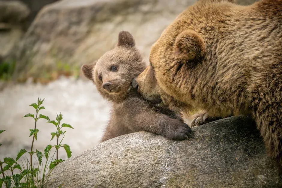 You Carry the Duality of Fierceness and Tenderness (Image Credits: Pexels)