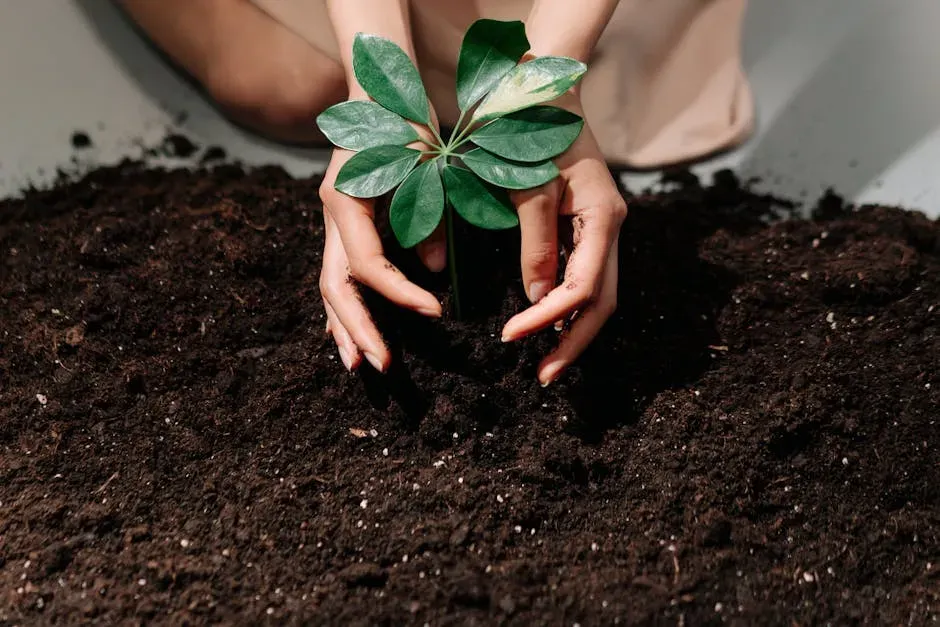 Conclusion: Your Soil Is the Real Garden (Image Credits: Pexels)