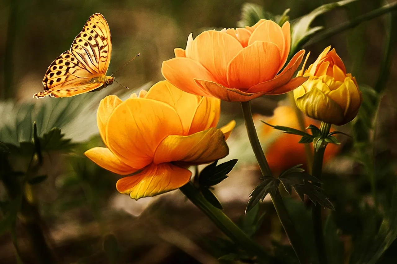 Conclusion: A Garden That Gives Wings a Season-Long Home (Image Credits: Pixabay)