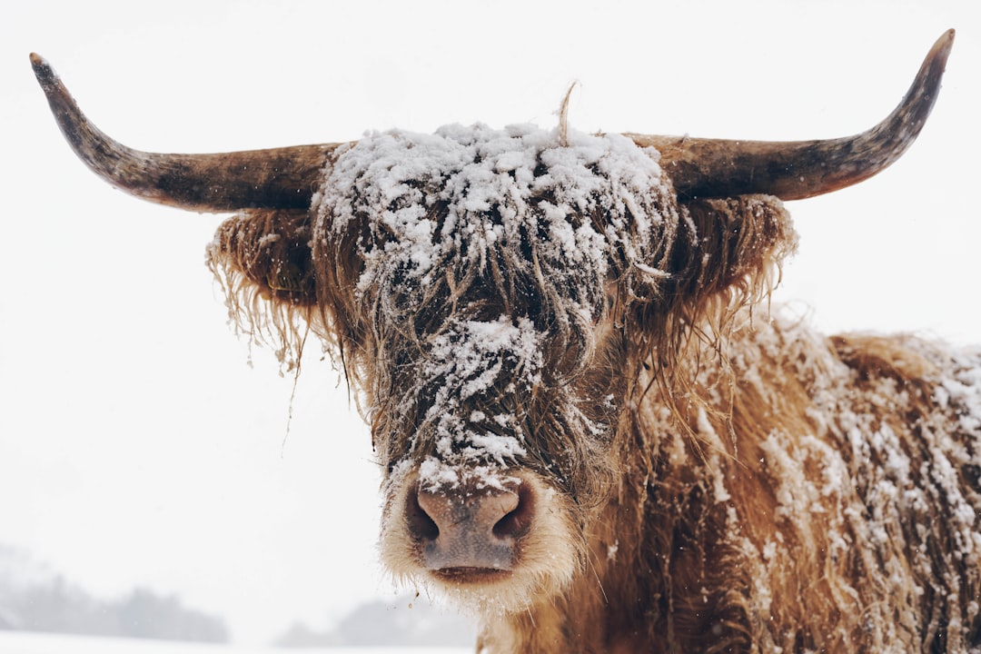 Stay Alert During Weather Changes (Image Credits: Unsplash)