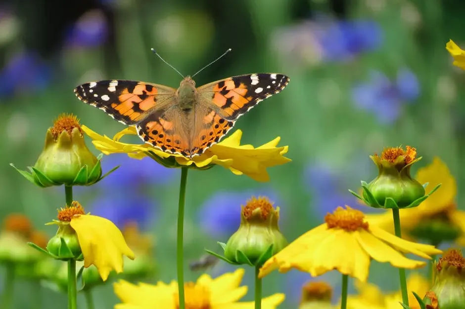 Conclusion: A Garden Worth Coming Back To (Image Credits: Pexels)