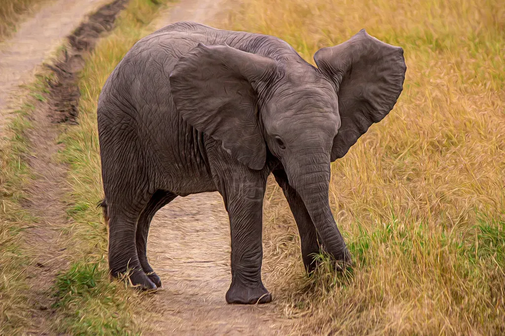Habitat's Hidden Hand (Image Credits: Flickr)