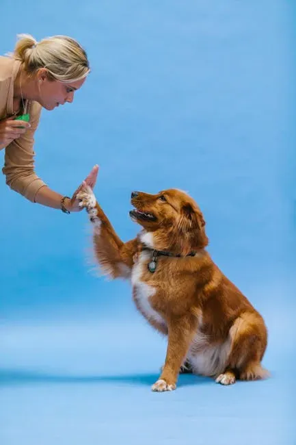 Why NILIF Rewires Your Dog's Brain (Image Credits: Pexels)