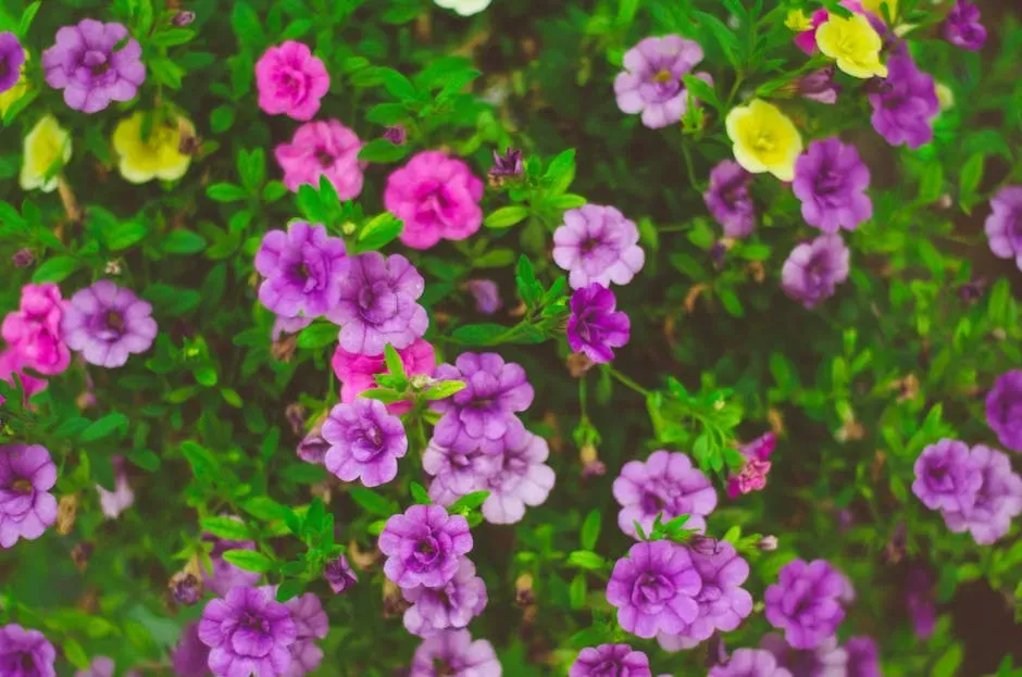 15. Calibrachoa (Million Bells) (Image Credits: Pexels)