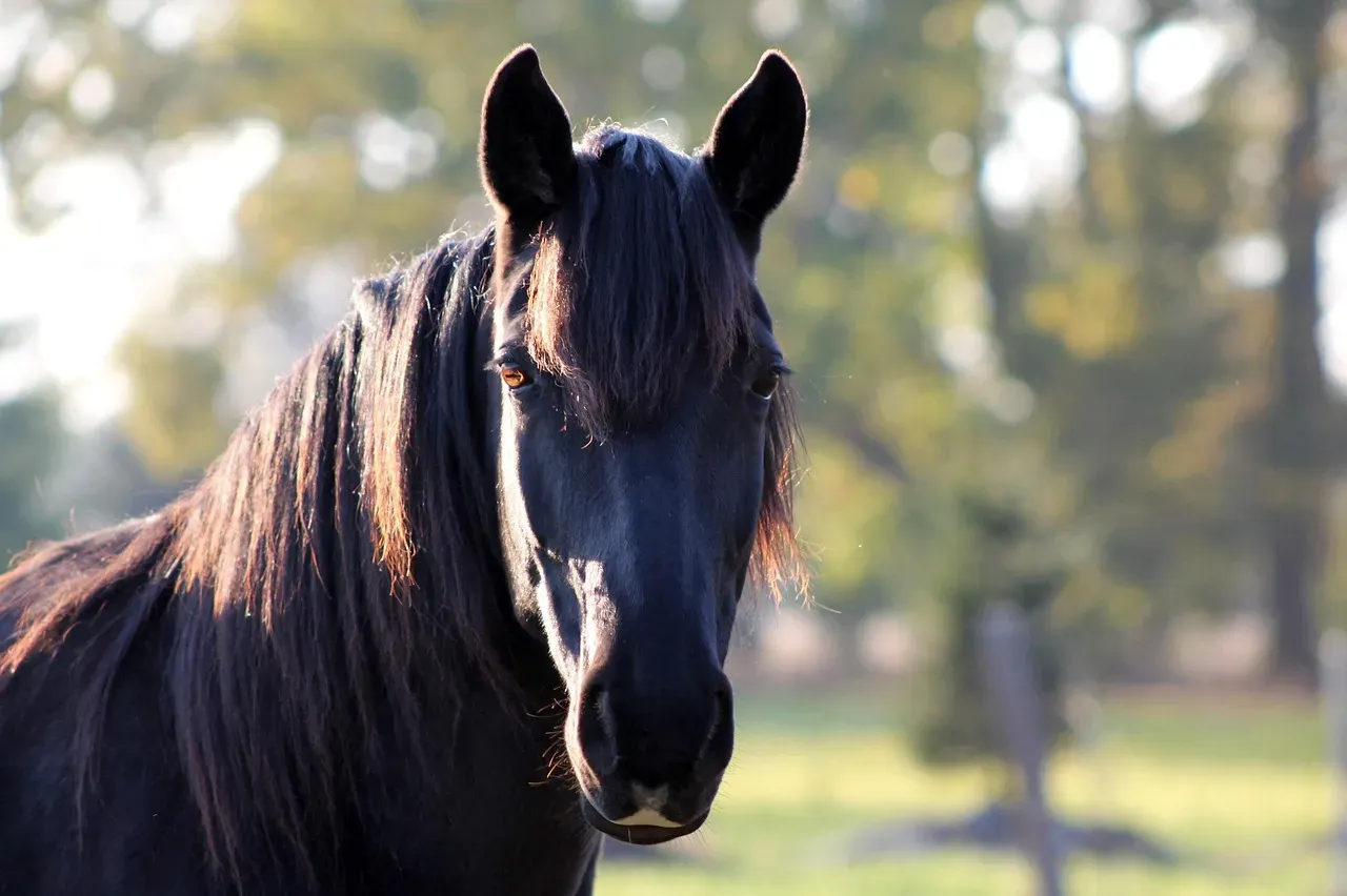 5. Relaxed Ears That Gently Swivel (Image Credits: Pixabay)