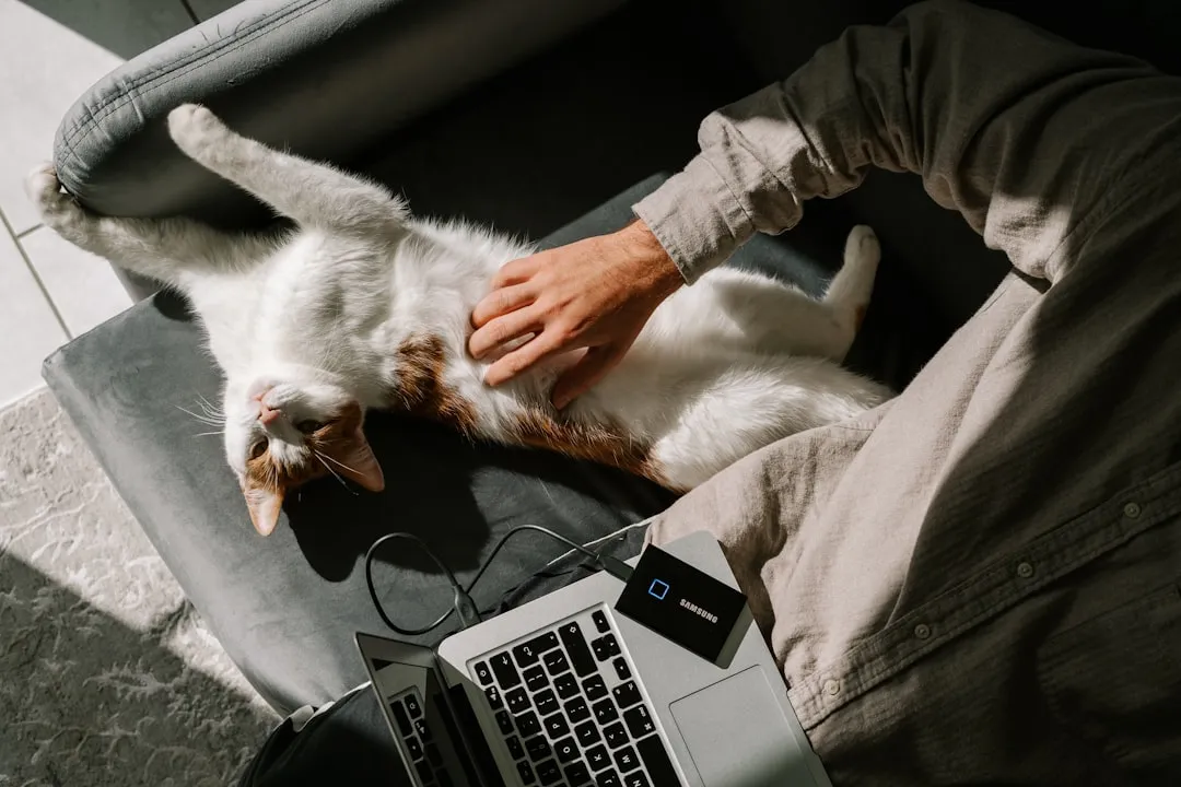 #4 - They Show You Their Kitten Side No One Else Sees (Image Credits: Unsplash)