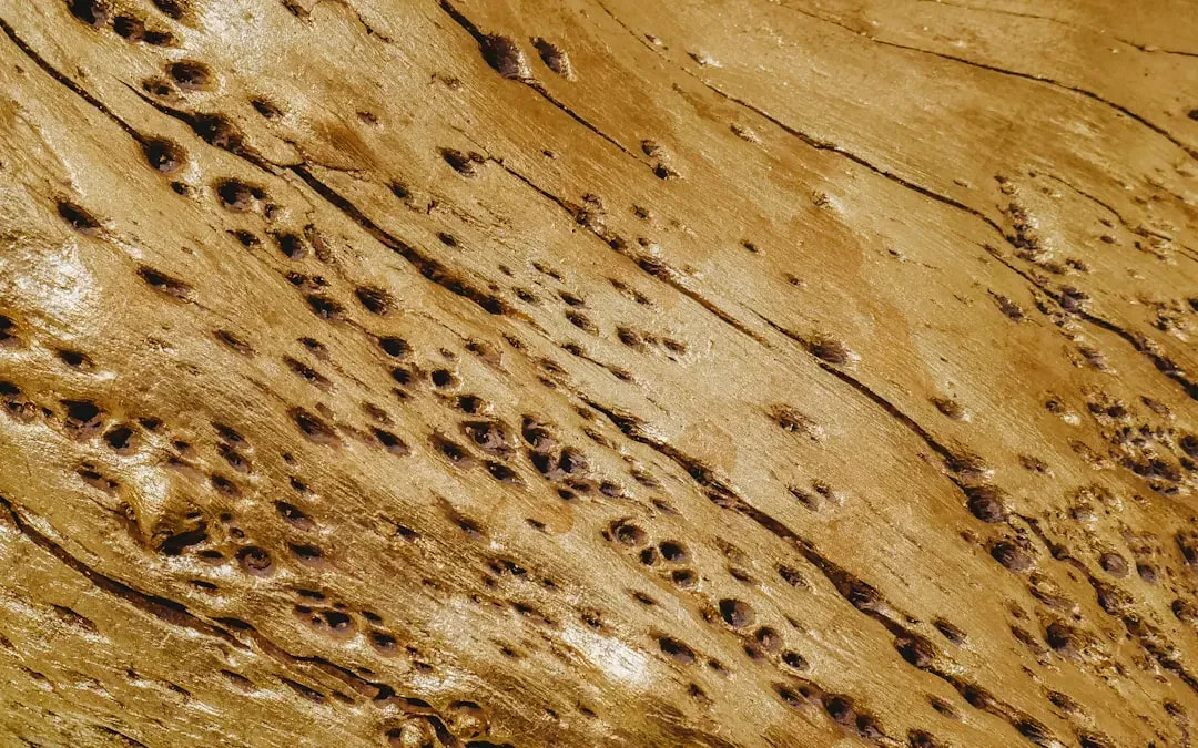 Foundation Cracks and Unsealed Entry Points (Image Credits: Unsplash)
