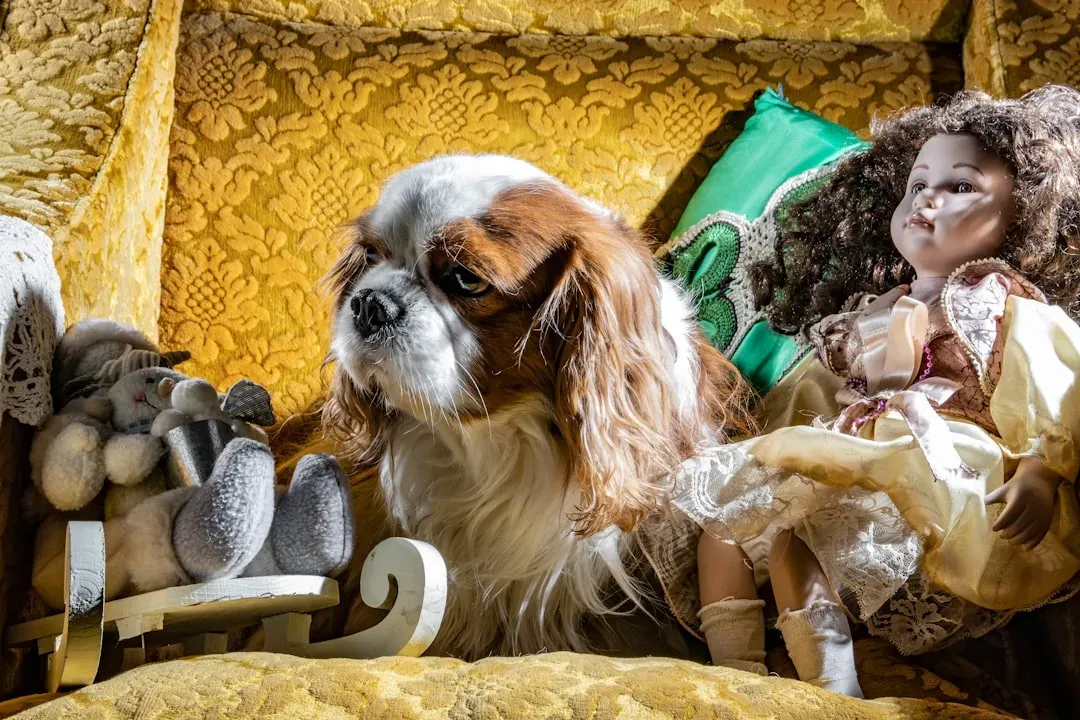 Conclusion: Finding Your Four-Legged Match (Image Credits: Unsplash)
