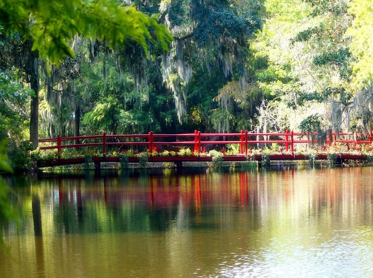 Congaree National Park - South Carolina's Ancient Forest Cathedral (Image Credits: Pixabay)