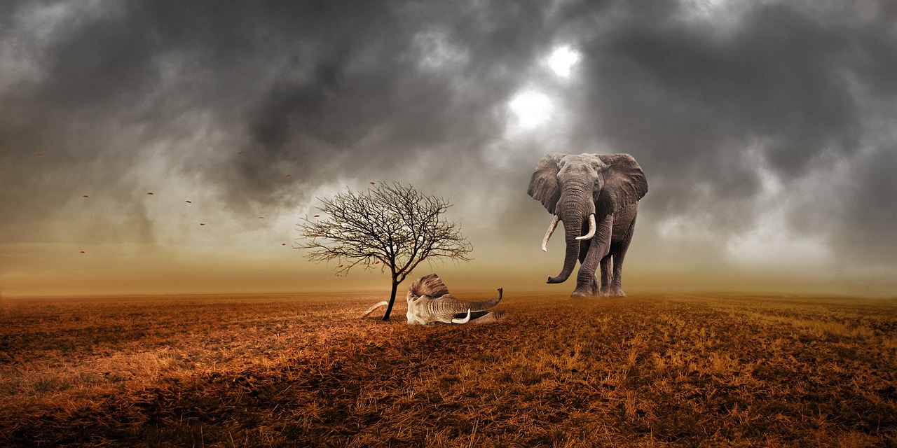 The Tragic Reality of Group Deaths (Image Credits: Pixabay)