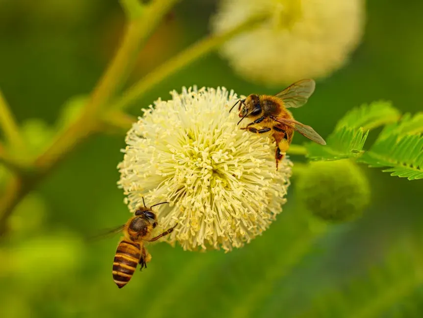 #2: Bees Hold the Food Chain Together Far Beyond the Garden Fence (Image Credits: Pexels)