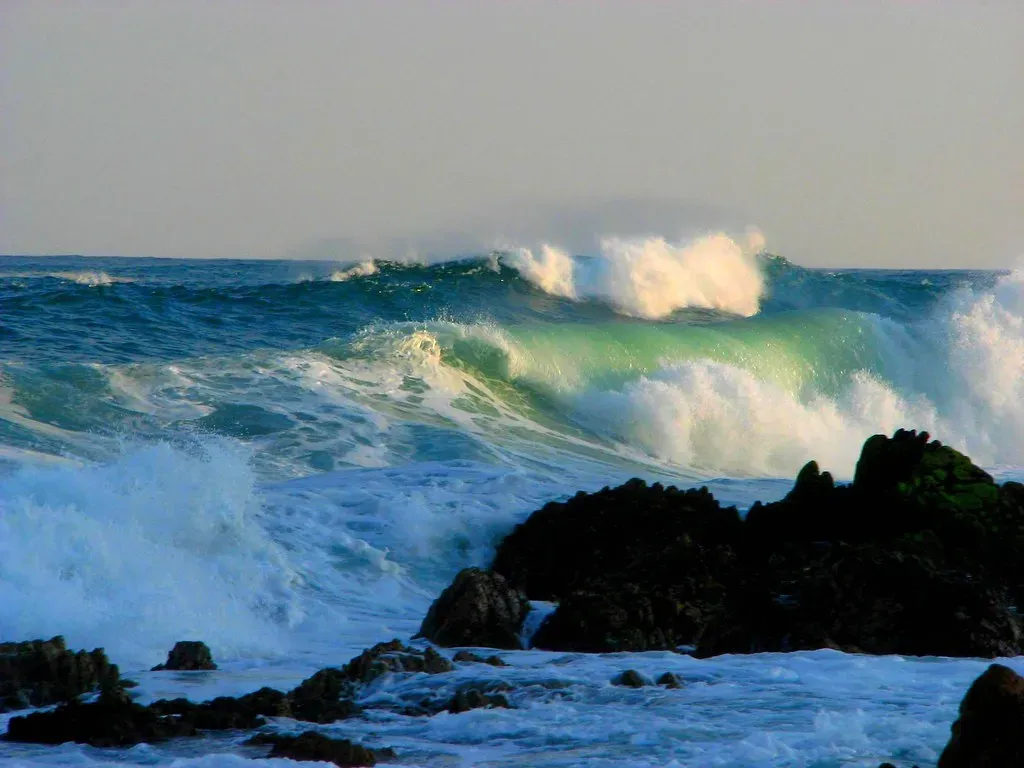 The Climate Fingerprint Is Undeniable (Image Credits: Flickr)
