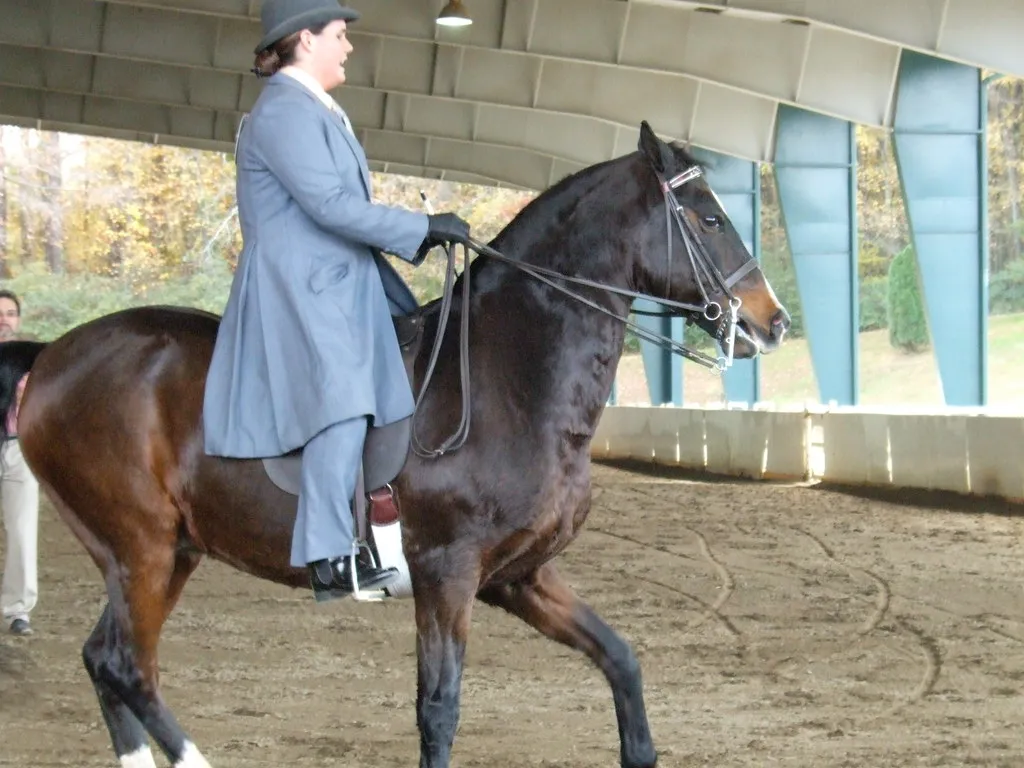 #15 - Saddlebred (Sagrasa, Flickr, CC BY 2.0)