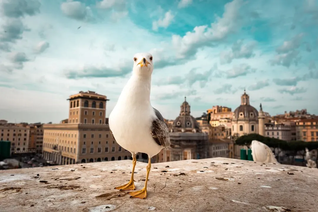 Species That Show This Behavior (Image Credits: Unsplash)