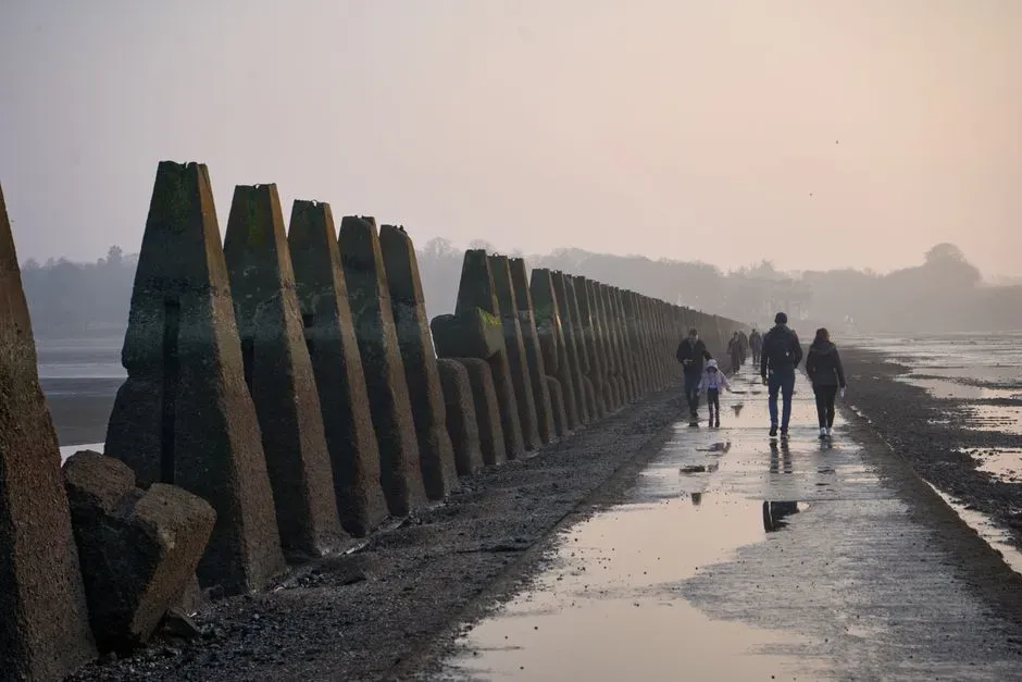 The Causeways Were Always Trying to Tell Us Something (Image Credits: Pexels)