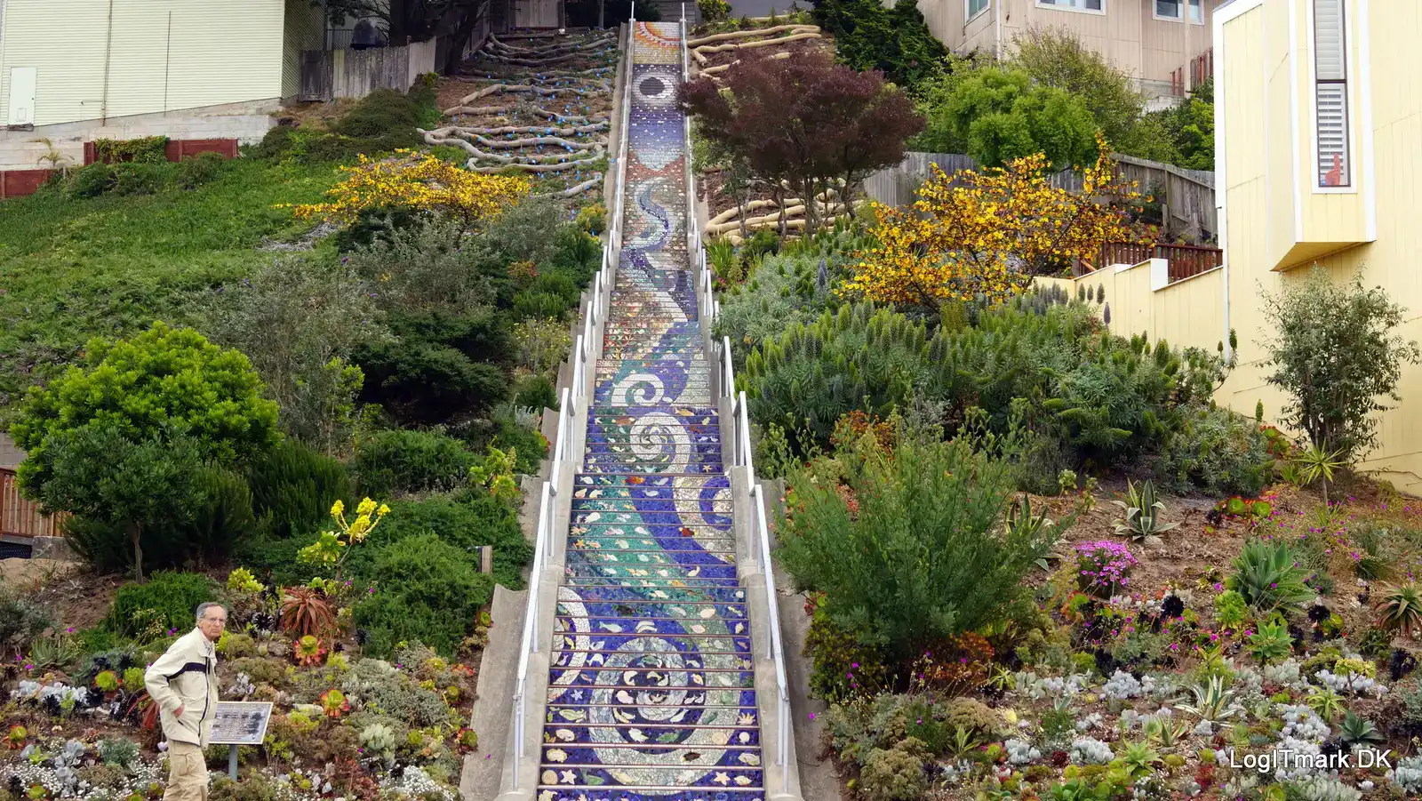 16th Avenue Tiled Steps: Stairway to the Sea and Stars (Image Credits: Wikimedia)