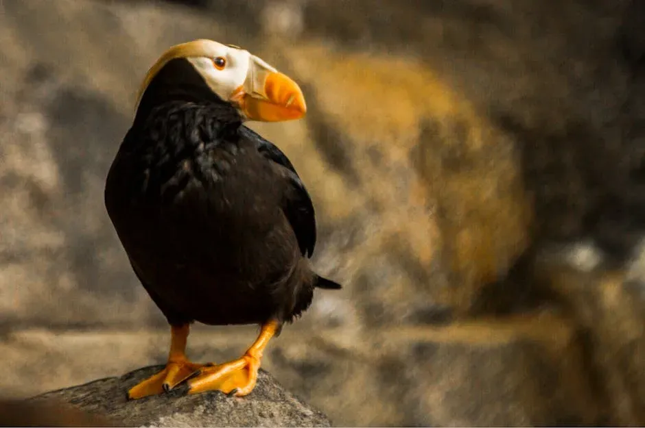 The Most Remote Wildlife Sanctuary in the United States (Image Credits: Pexels)