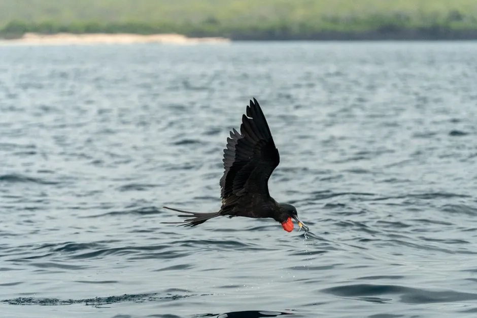 Why This Story Changes How We See Birds &ndash; And Ourselves (Image Credits: Pexels)