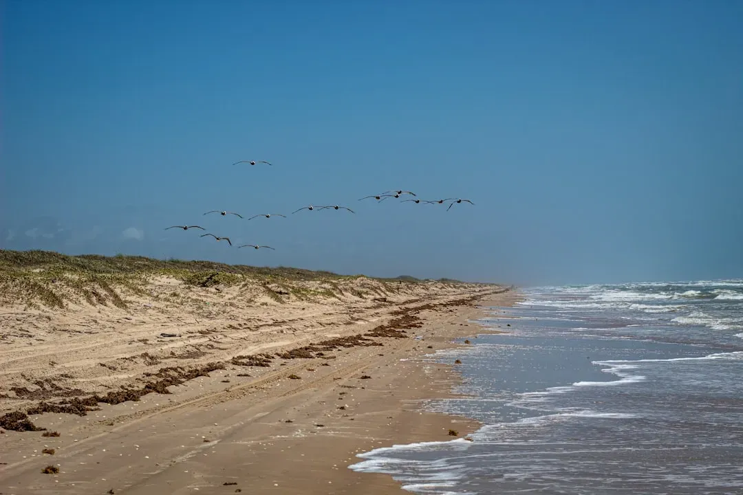 Accelerating Erosion Along Gulf Shorelines (Image Credits: Unsplash)