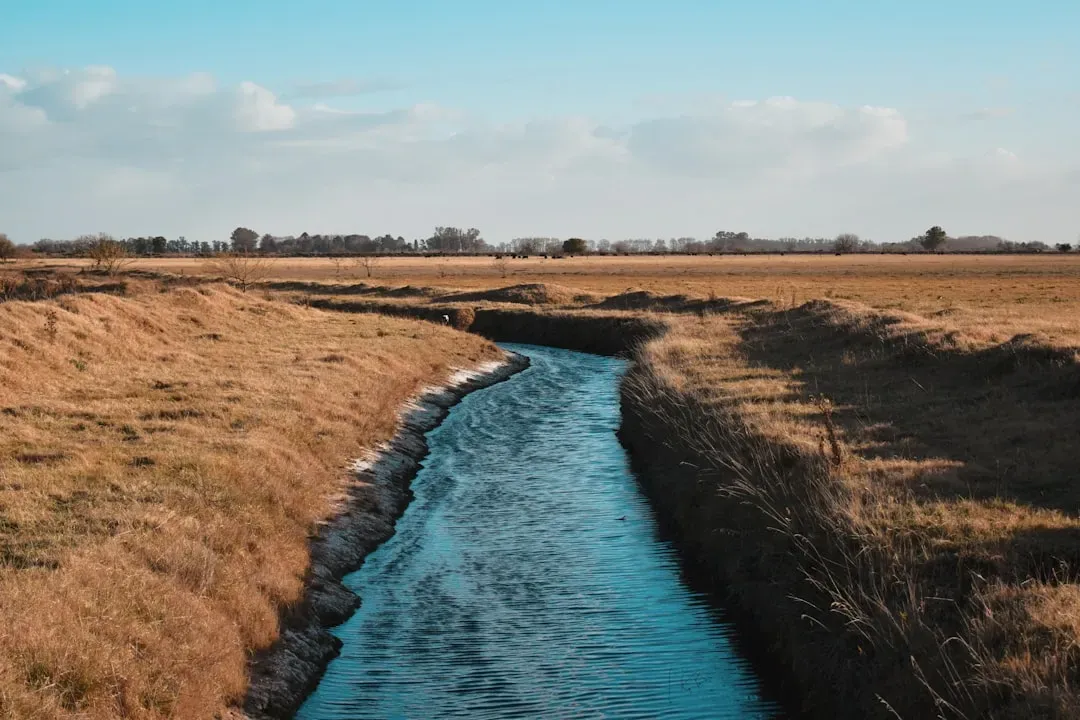 Paths Forward Amid the Drop (Image Credits: Unsplash)