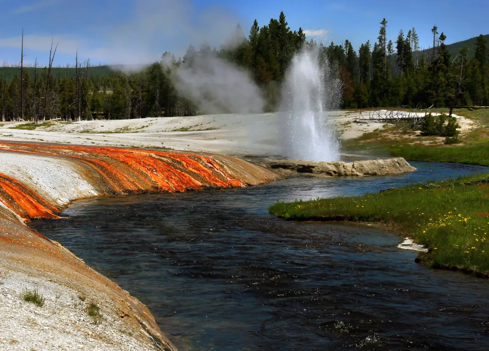 Warning Signs Would Precede Any Major Eruption (Image Credits: Wikimedia)