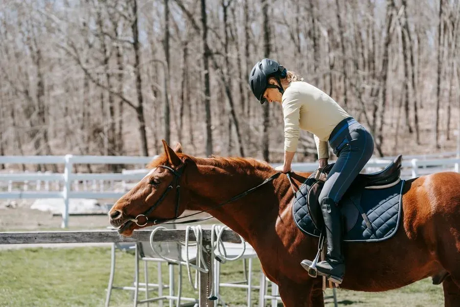 #7 - The Emergency Dismount at Speed (Image Credits: Pexels)