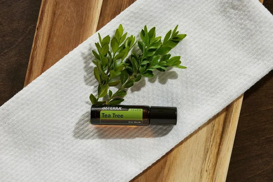 Tea Tree Oil: The Antimicrobial That Doubles as a Deterrent (Image Credits: Pexels)