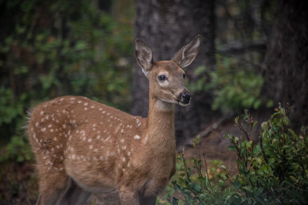 #5 Wisconsin (Image Credits: Rawpixel)