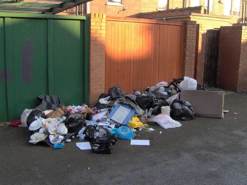 Garbage and Poor Sanitation Seal the Deal (Image Credits: Flickr)