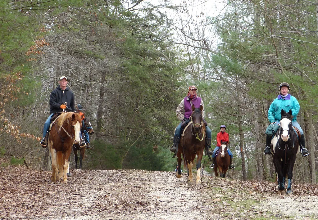 #4 - The Overused Trail String Horse (vastateparksstaff, Flickr, CC BY 2.0)