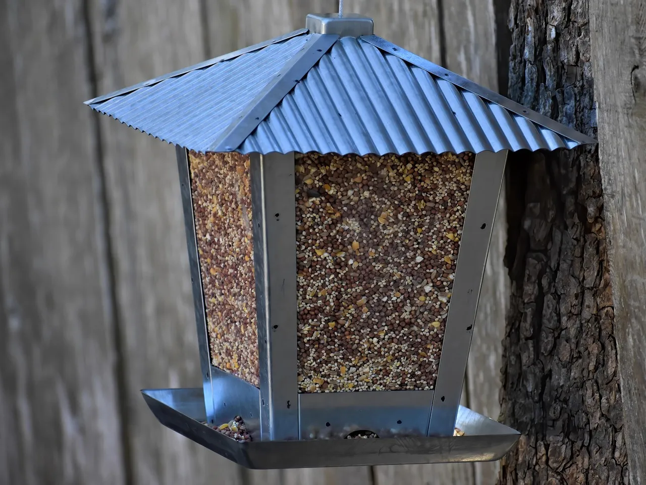 #2 - Feeders That Used To Be Busy Now Stay Strangely Full (Image Credits: Pixabay)