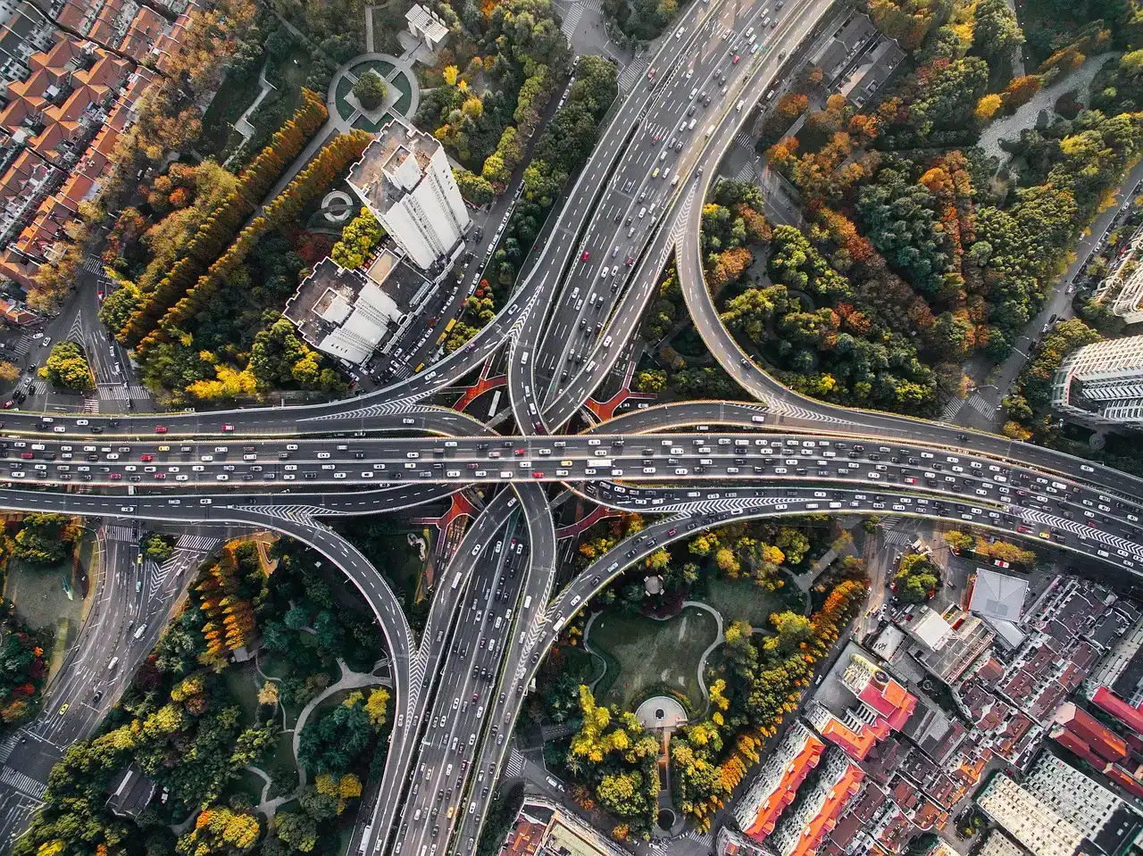 #5: The Temporoparietal Junction and the Out-of-Body Question (Image Credits: Pixabay)