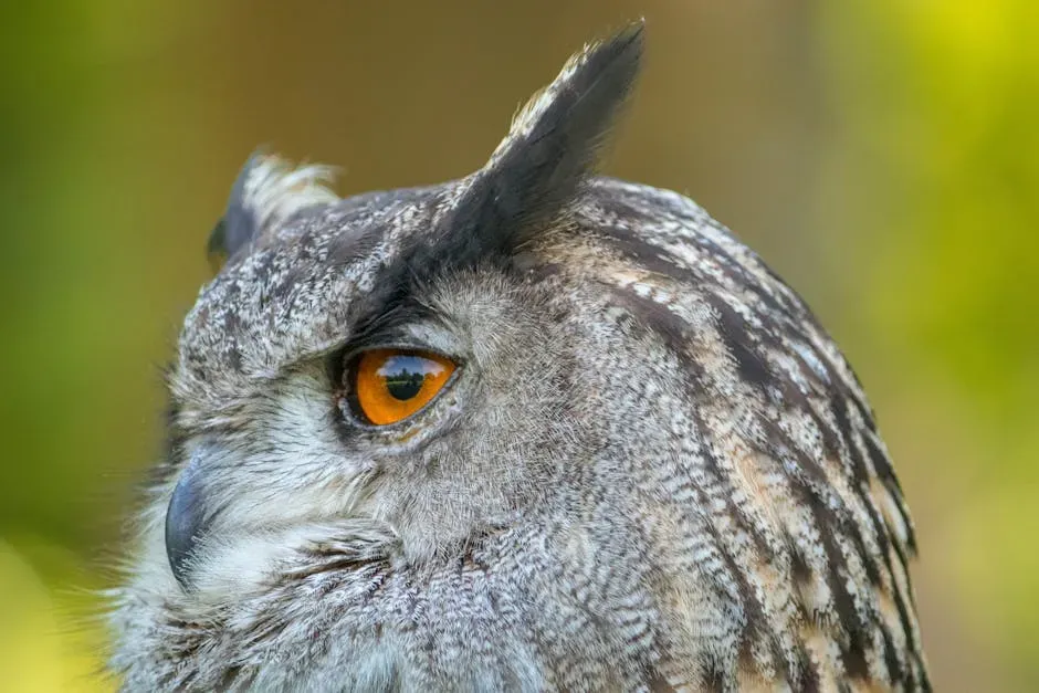 #5. Head Rotation and Fixed Eyes: The Evolutionary Trade-Off That Makes It All Work (Image Credits: Pexels)
