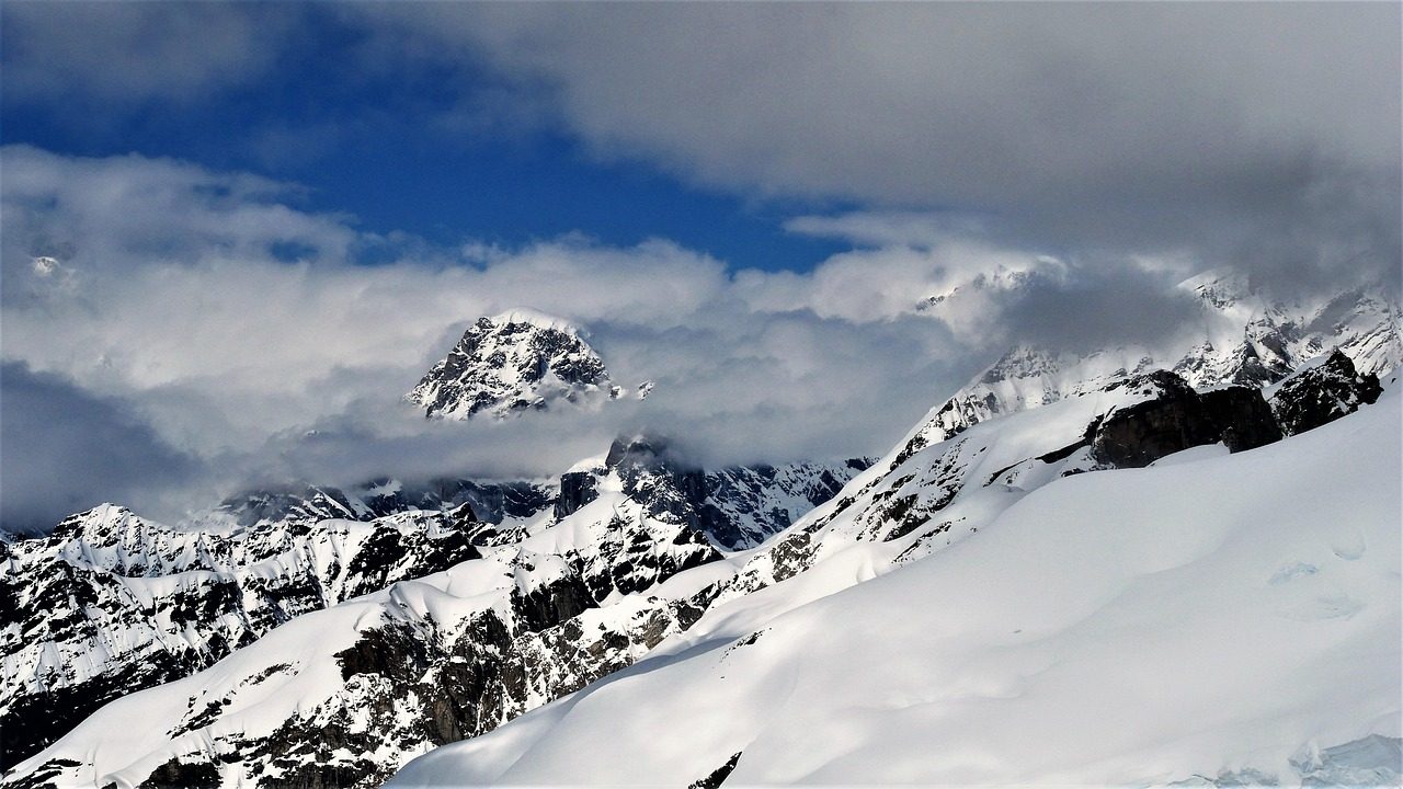 Denali National Park, Alaska (Image Credits: Pixabay)