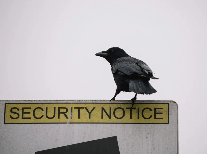 Communicating Danger (Image Credits: Pexels)
