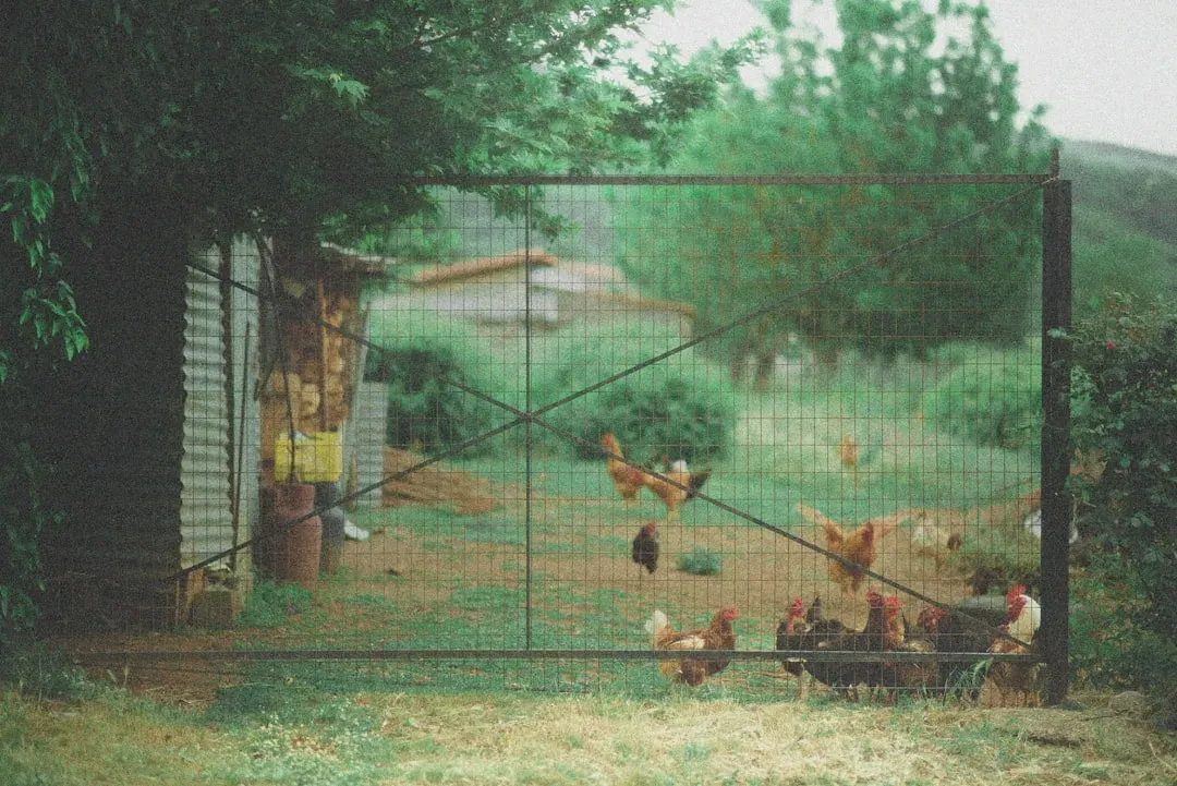 #1: Install a Properly Buried Chicken Wire Fence (Image Credits: Unsplash)