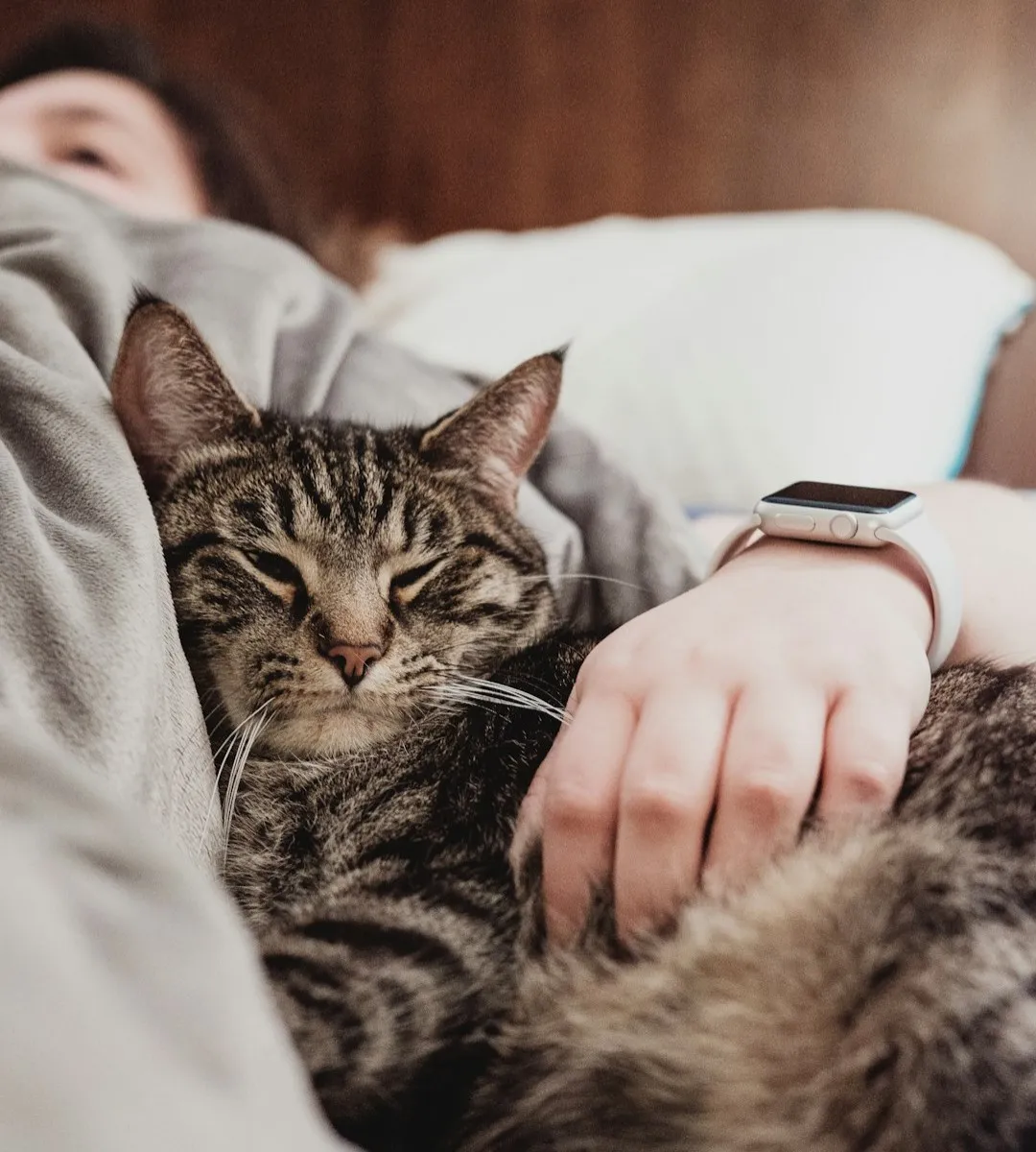 #19 - They Sleep So Close You Can Feel Every Breath (Image Credits: Unsplash)