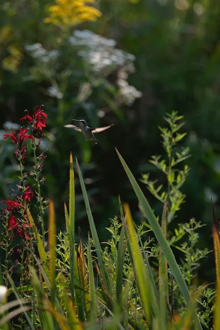 7 - Your Phone Is Full of Backyard Photography You Didn't Plan to Take (Image Credits: Pexels)