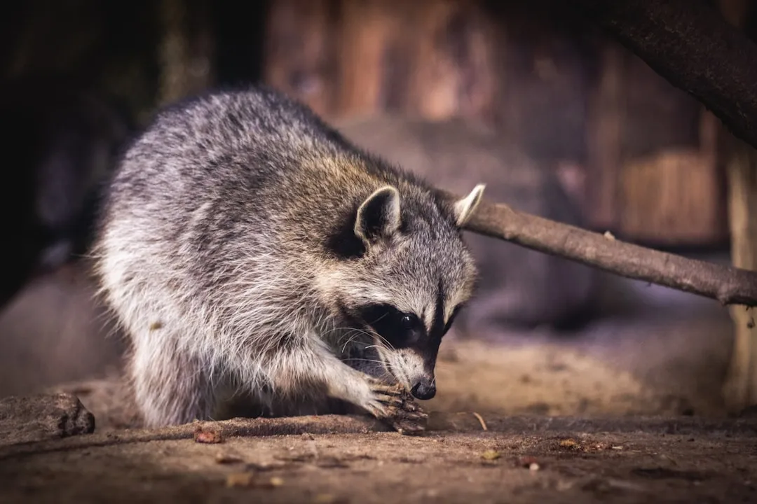 #4 &ndash; Guarding the Food Bowl Like Its Life Depends On It (Image Credits: Unsplash)