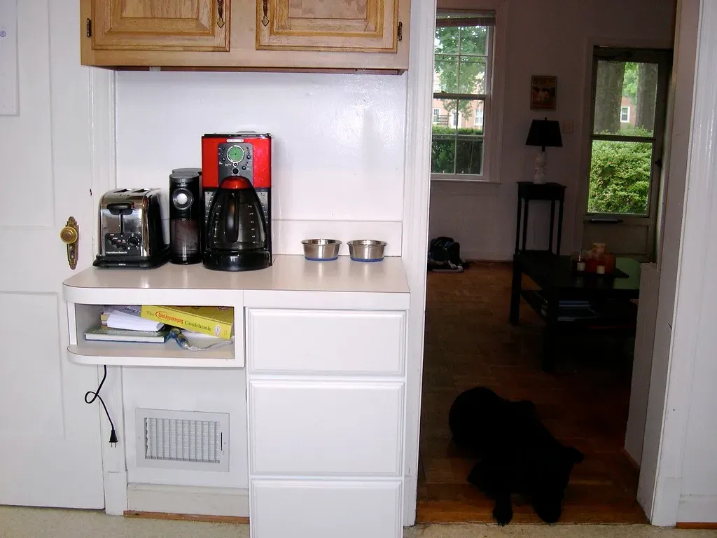 3. Microwave Beeps and Kitchen Appliances (Image Credits: Flickr)