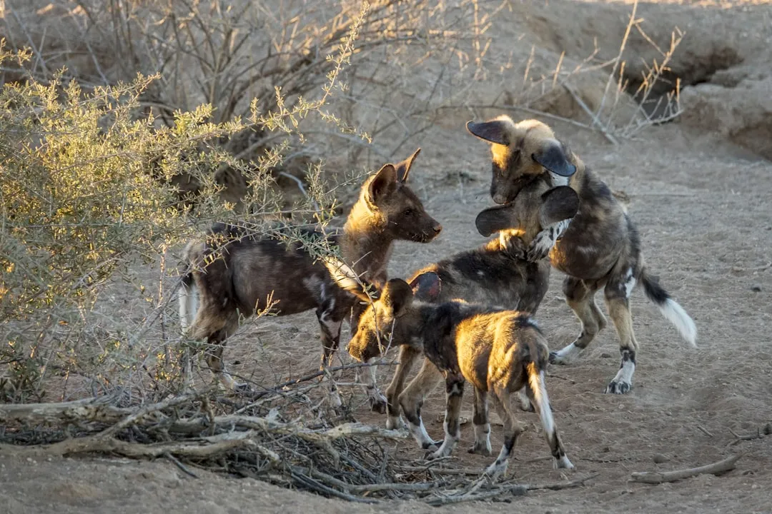 7. Sticking With a Failed Hunt and Quickly Resetting as a Group (Image Credits: Unsplash)