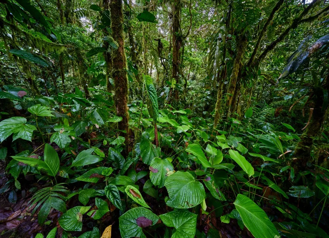 How This Affects the Entire Ecosystem (Image Credits: Unsplash)