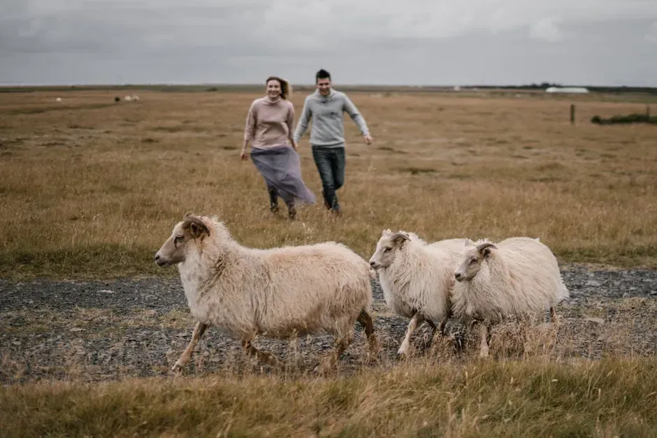 Aries in Relationships: Passion Like a Ram in Spring (Image Credits: Pexels)