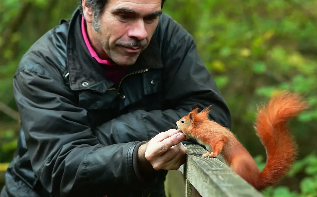 20. Squirrels Stop Bolting the Moment They See You (Peter G Trimming, Flickr, CC BY 2.0)